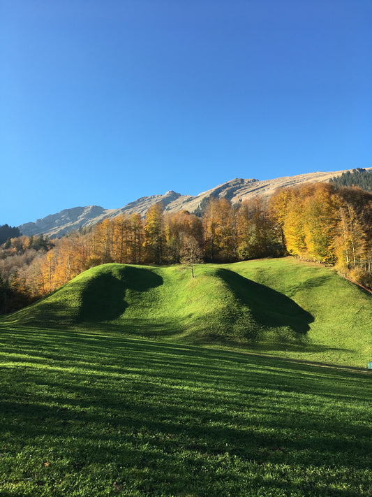 Bregenzerwald – sooo schön!